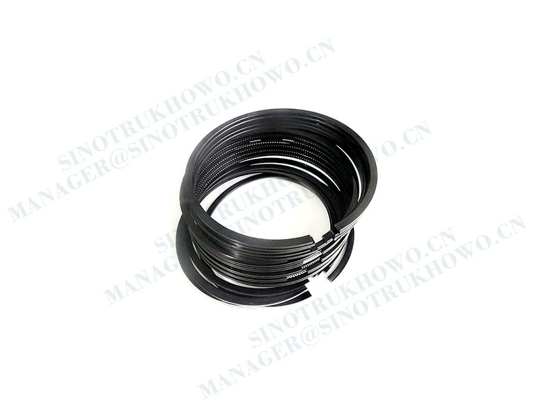 VG1099030006Piston Rings-1