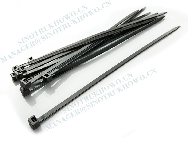 Plastic Fastening Strap Assembly WG9725360088