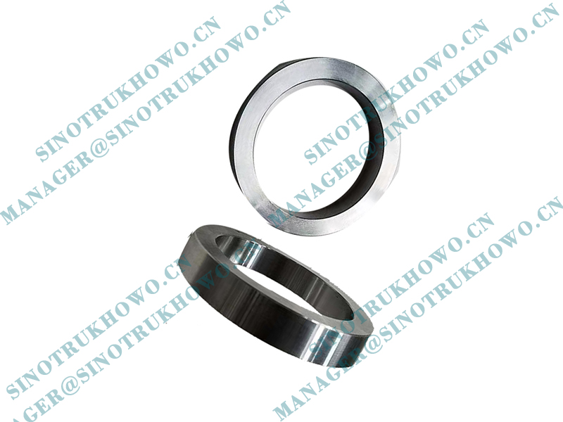 Septum Ring 810W35621-0002