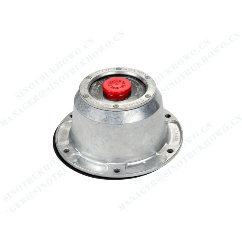 3103065AA8S-C00-E Hubcap Assembly